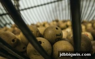 掌握历史开奖结果，玩转jdb电子超级大奖的秘诀