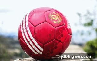 jdb电子超级大奖双胆单号全攻略：精准选号与高效搭配技巧