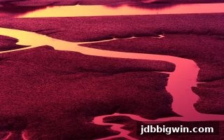 冷热号码选号策略解析｜jdb电子超级大奖带你洞察四川麻将牌势