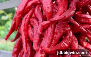 jdb电子超级大奖带你看透百年欧陆巅峰：欧冠决赛历史经典巡礼
