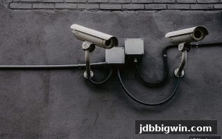 掌握jdb电子超级大奖：合法JDB捕鱼平台与非法陷阱的终极辨别指南