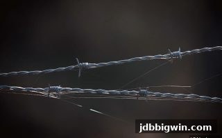 遭遇jdb电子超级大奖账户异常？维权前的关键步骤与完整指南